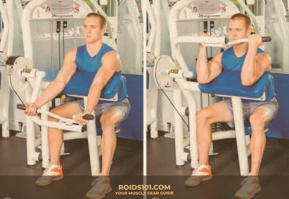 Curl-Machine-Exercise-Roids101-3