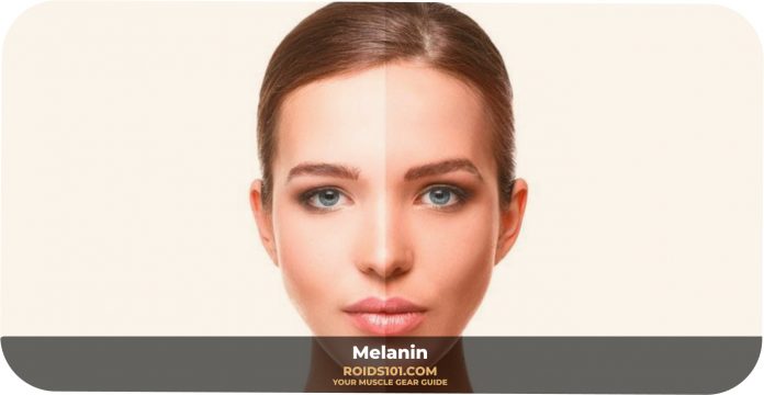 Melanin-Roids101-4