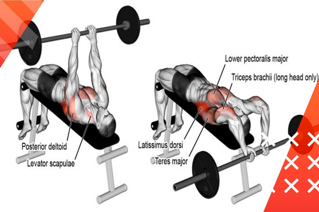 Barbell-Pullover-Roids101-5
