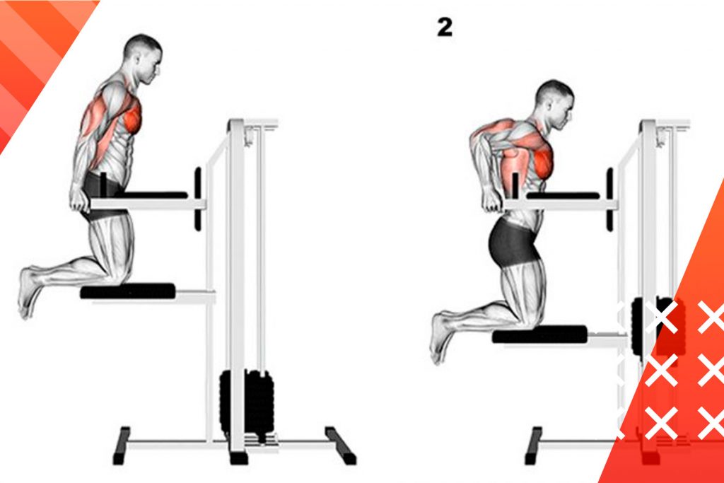 Gravitron-pull-ups-Roids101-2