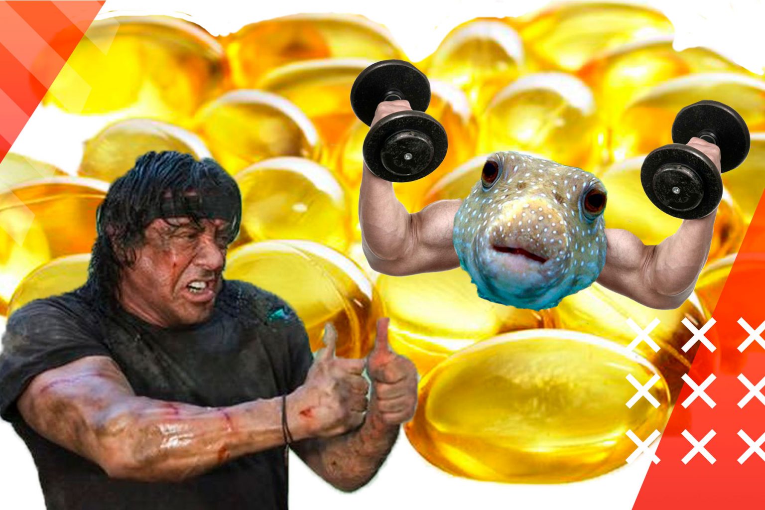 daily omega 3 intake bodybuilding