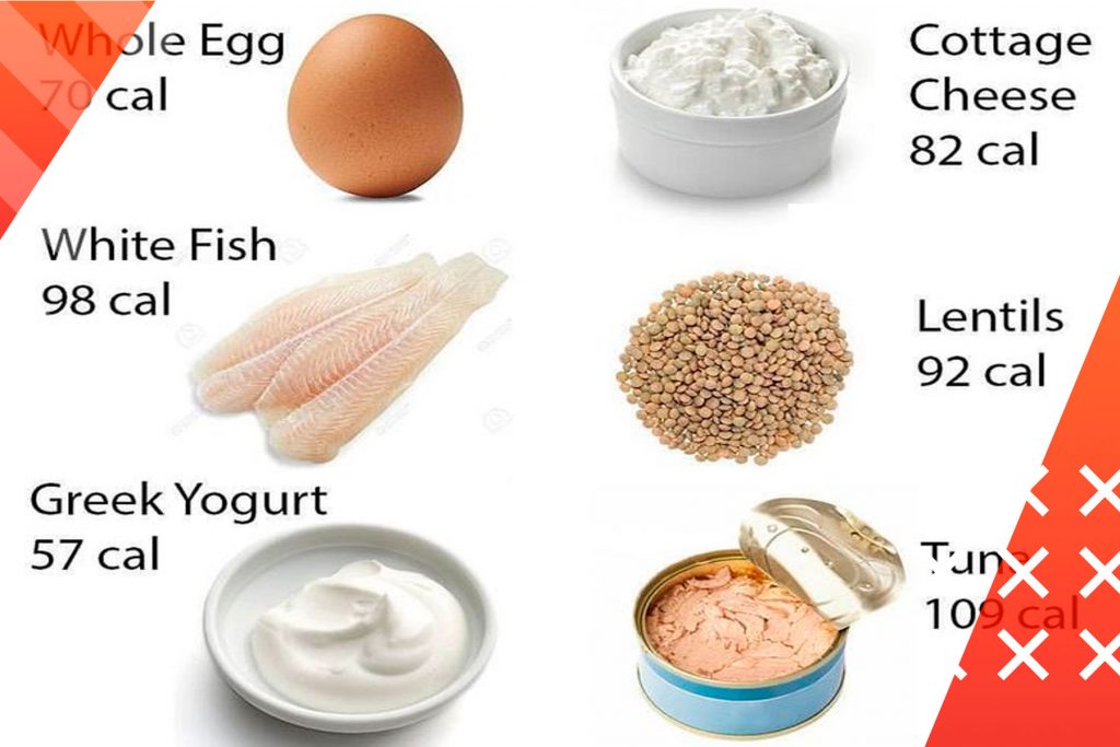 Protein-Benefits-Roids101-2