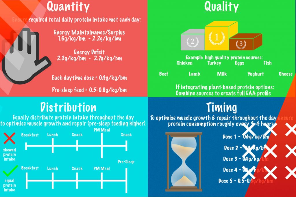 Protein-Benefits-Roids101-3