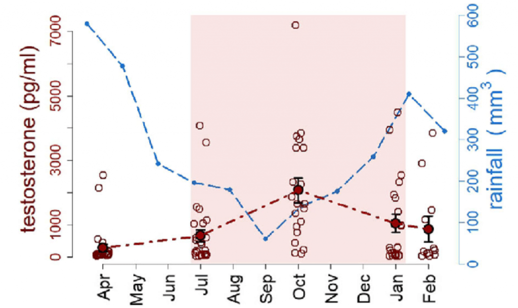 Seasonal changes of testosterone levels in males The seasonal peak of testosterone png 689×410