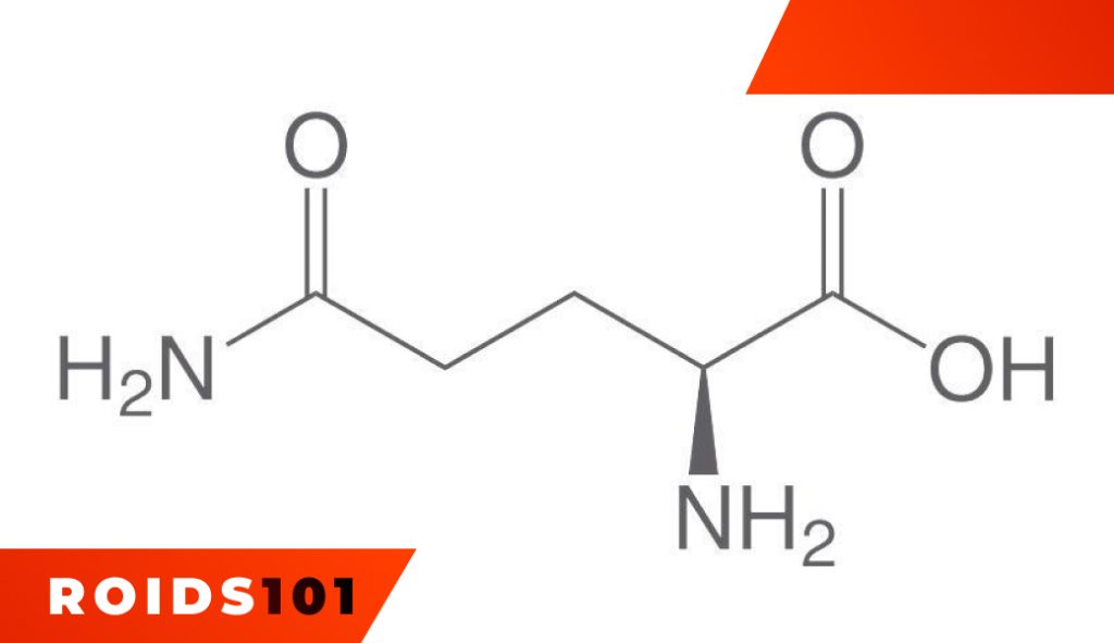 glutamine-and-weight-loss-facts--myths-2