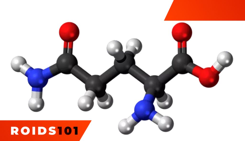 glutamine-usage-different-forms-dosage-3