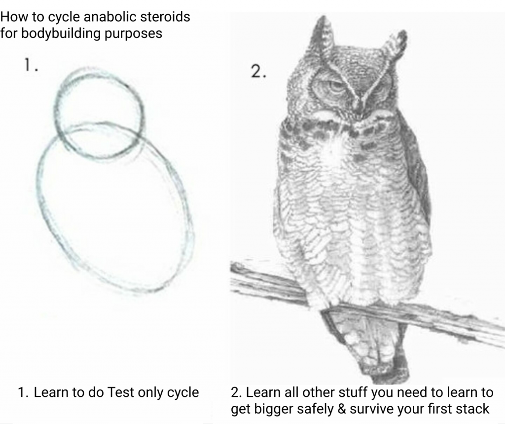 Test only cycle 1