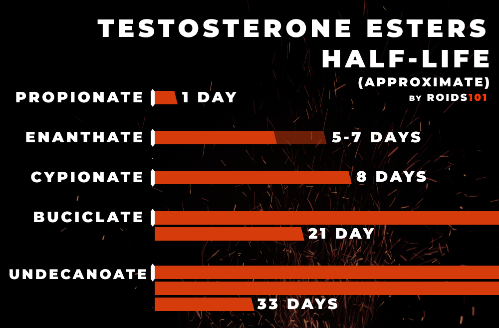 Testosterone esters half life
