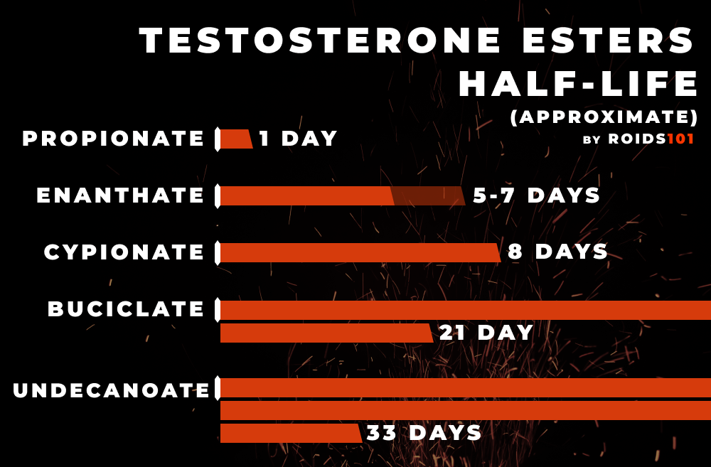 What Is Testosterone Propionate Cycle Dosage And Side