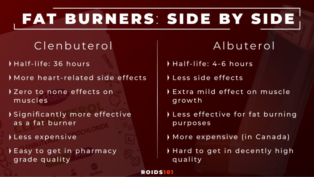 Clenbuterol vs Albuterol compared side by side in an infographic table
