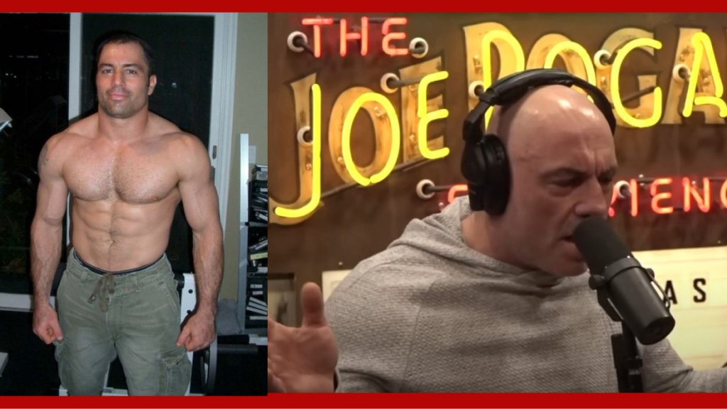 Joe Rogan at 25 years old and nowadays