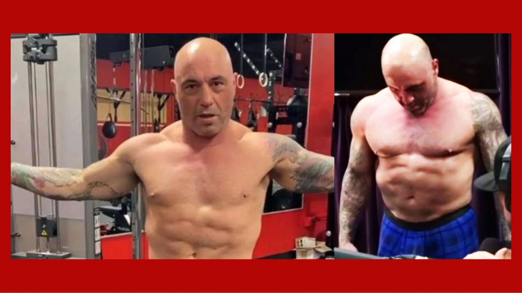 joe rogan steroids the controversial physique pic roids 101