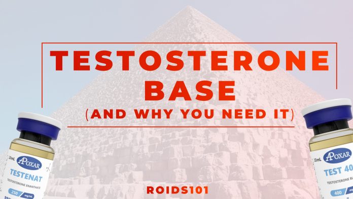 Testosterone base and two best compounds for it on a bright background