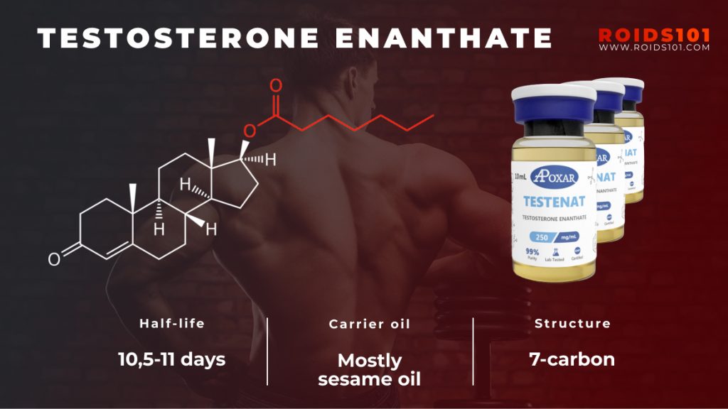 Testosterone Enanthate Profile