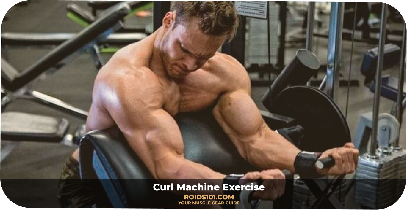 Curl-Machine-Exercise-Roids101-1