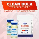 dianabol-cycle-bundle-roids101 1 – roids101 Testosterone and Dianabol Cycle for Muscle Mass tablets — Roids101 Canada