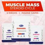 dianabol-cycle-roids101-pre-designed 1 – roids101 Dianabol, Arimidex, and Clomid products by Apoxar in the Dianabol Cycle for Muscle Mass bundle
