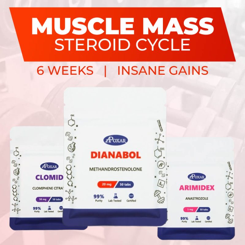 Dianabol, Arimidex, and Clomid products by Apoxar in the Dianabol Cycle for Muscle Mass bundle