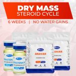 dry-mass-steroid-cycle-roids101 1 – roids101 Testosterone and Anavar Cycle for Dry Mass tablets — Roids101 Canada