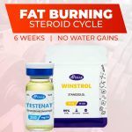 fat-burning-cycle-bundle-roids101 1 – roids101 Testosterone and Stanozolol Cycle for Cutting tablets — Roids101 Canada