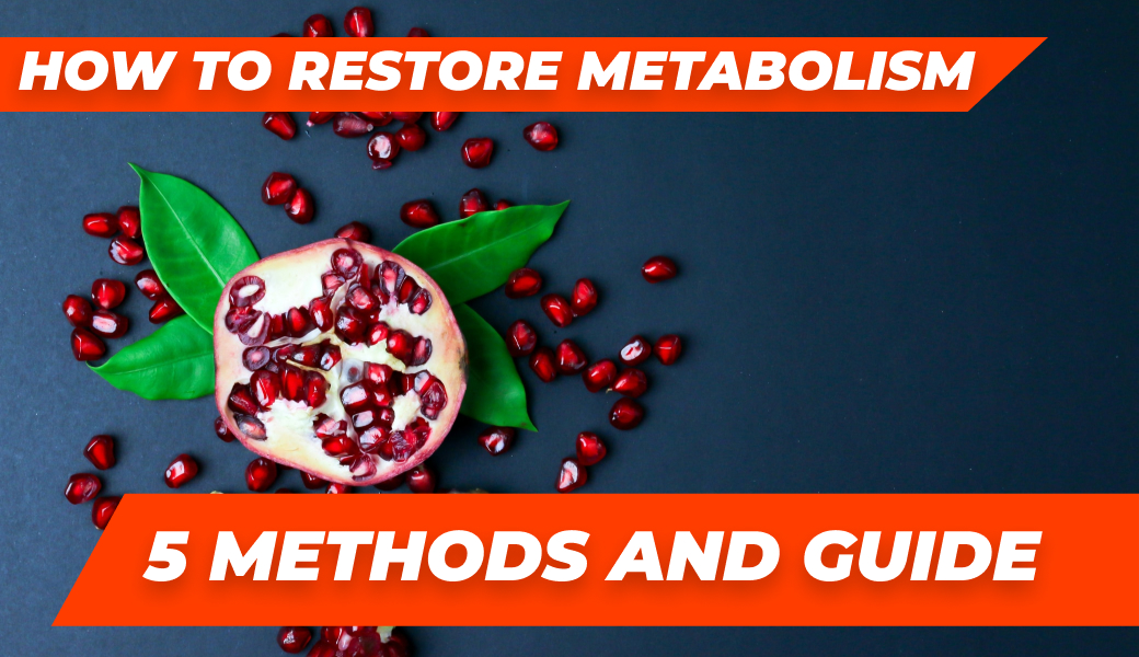 how to safely restore metabolism 5 methods and guide 2 — Roids101