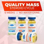 masteron-cycle-bundle-roids101 1 – roids101 Masteron and Testosterone Cycle for Quality Mass vial — Roids101 Canada