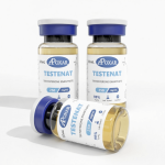 Testosterone Enanthate 250mg/ml vial by Apoxar — buy at Roids101 Canada