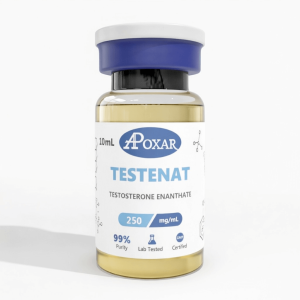testosterone-enanthate-250-mg-ml-apoxar-roids101 – roids101