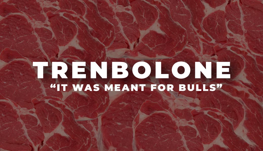 trenbolone 101 cycle benefits dosage side effects — Roids101