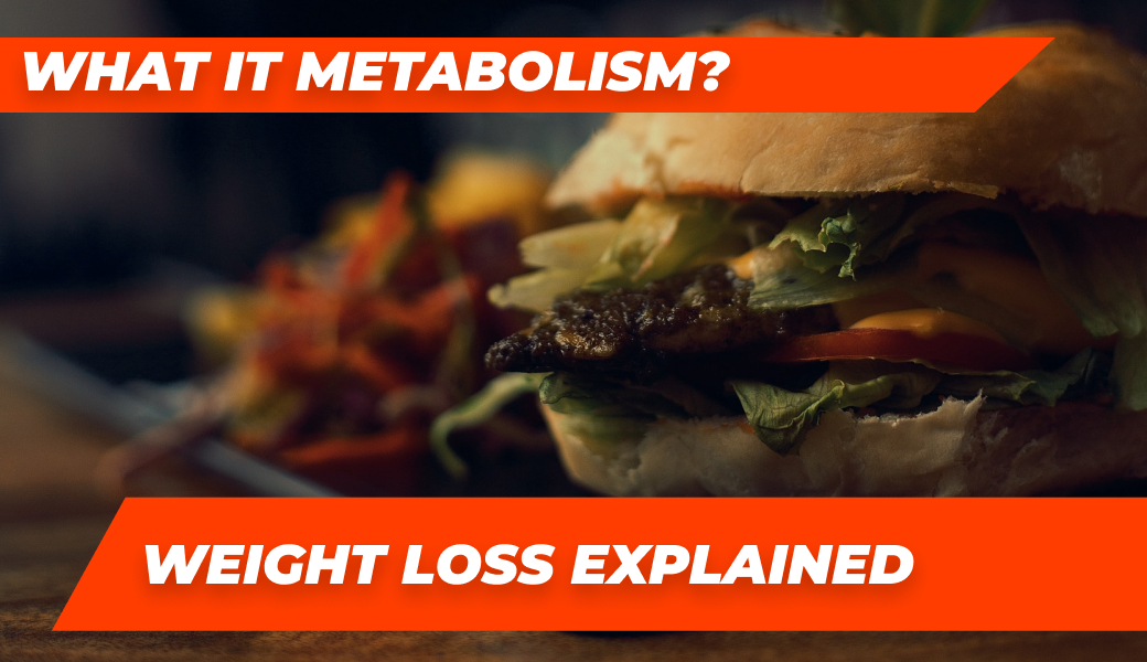 what is metabolism — Roids101